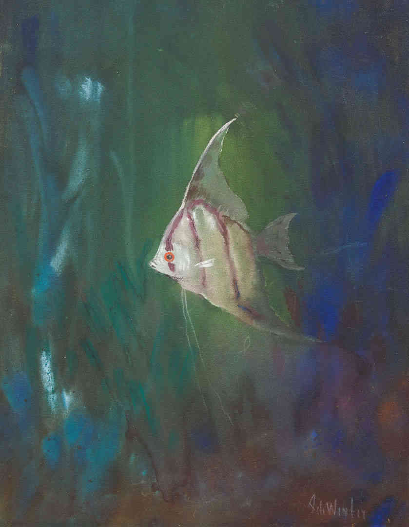 WinterJde_Maanvis_4656