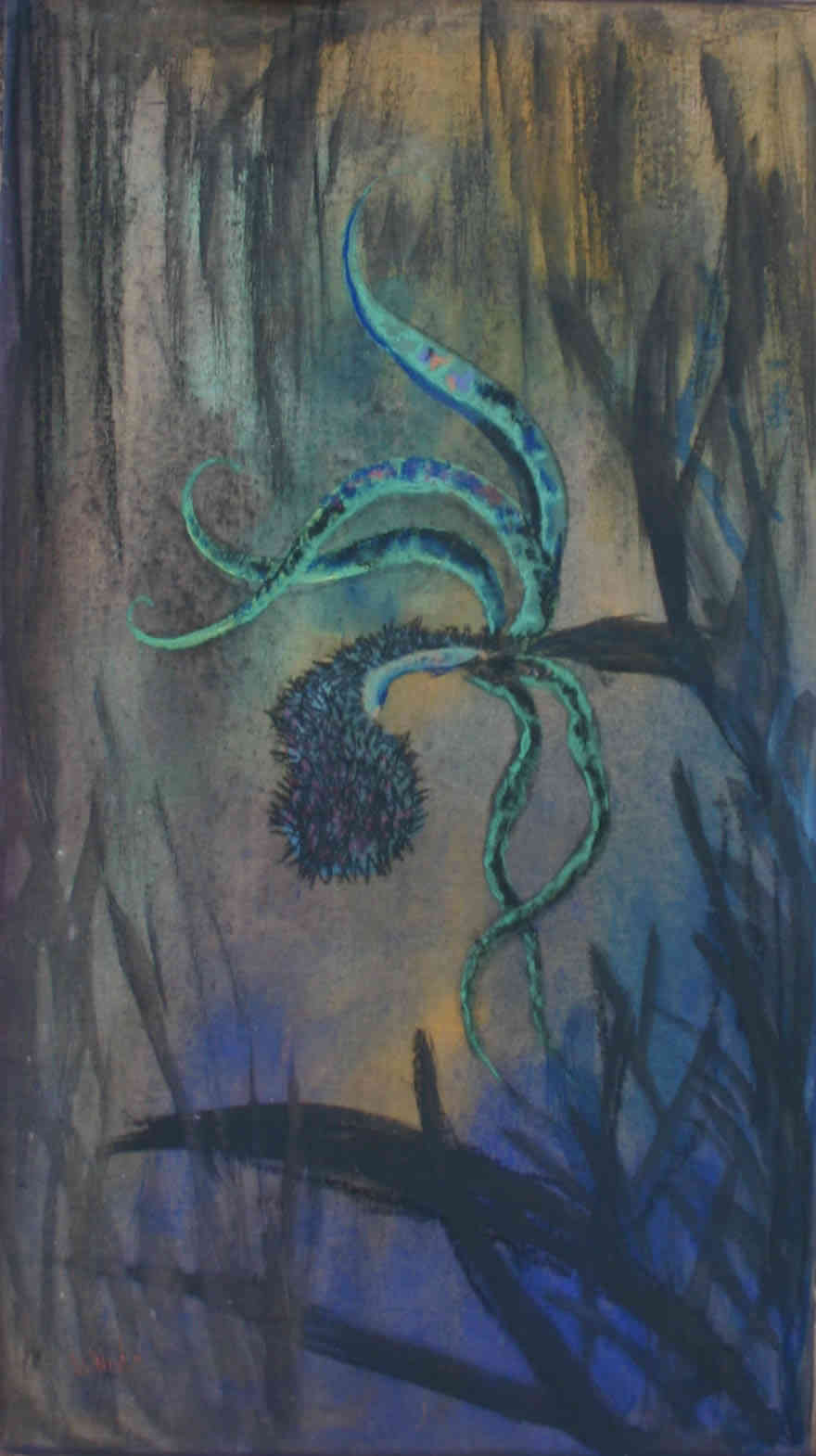 Winter_oerwoudorchidee